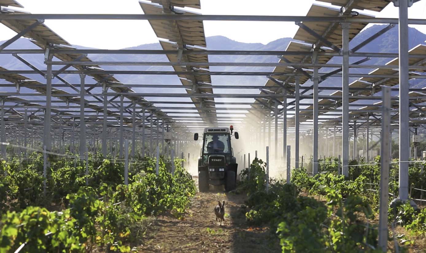 Photovoltaik in der Landwirtschaft: Landnutzung für erneuerbare Energie